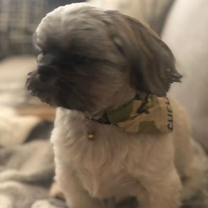 Meet your Posher, Dianne